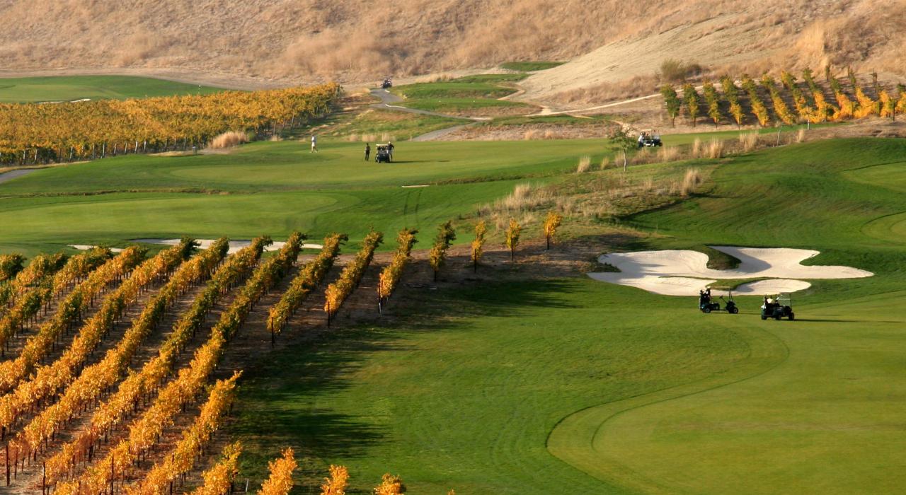 在威迪酒庄（Wente Vineyards）的葡萄藤间打高尔夫球