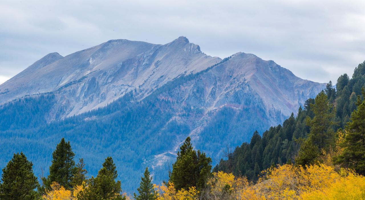 卡斯特加拉廷国家森林 Taylor Fork 区域的秋叶和山色景观 卡斯特加拉廷国家森林 Taylor Fork 区域的秋叶和山色景观