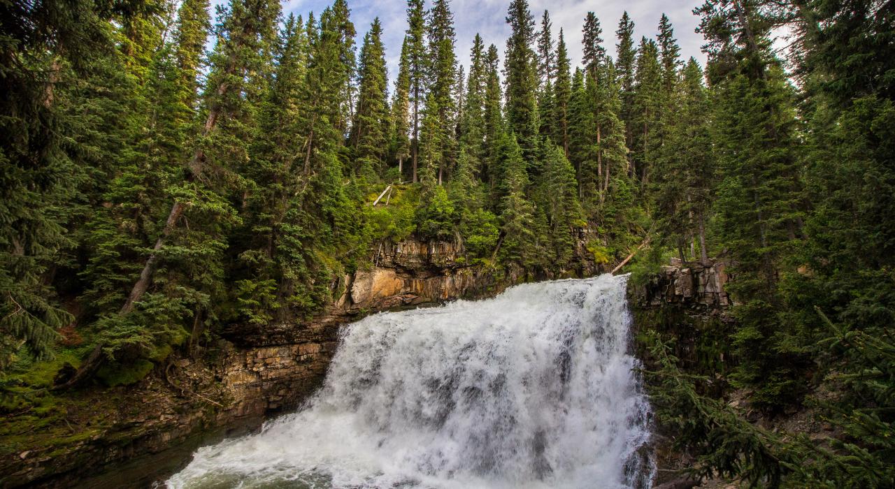 Ousel Falls 瀑布从郁郁葱葱的森林中穿流而过 Ousel Falls 瀑布从郁郁葱葱的森林中穿流而过