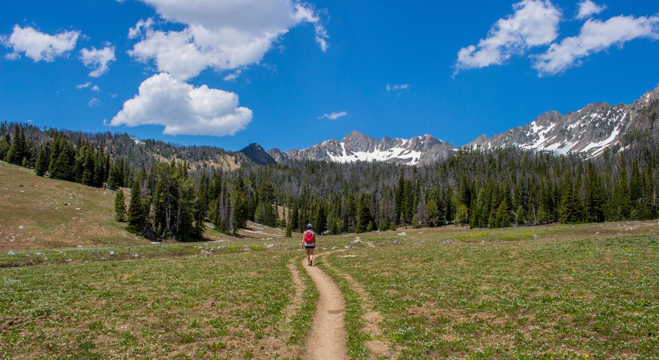 蜂窝盆地的夏日景观 蜂窝盆地的夏日景观