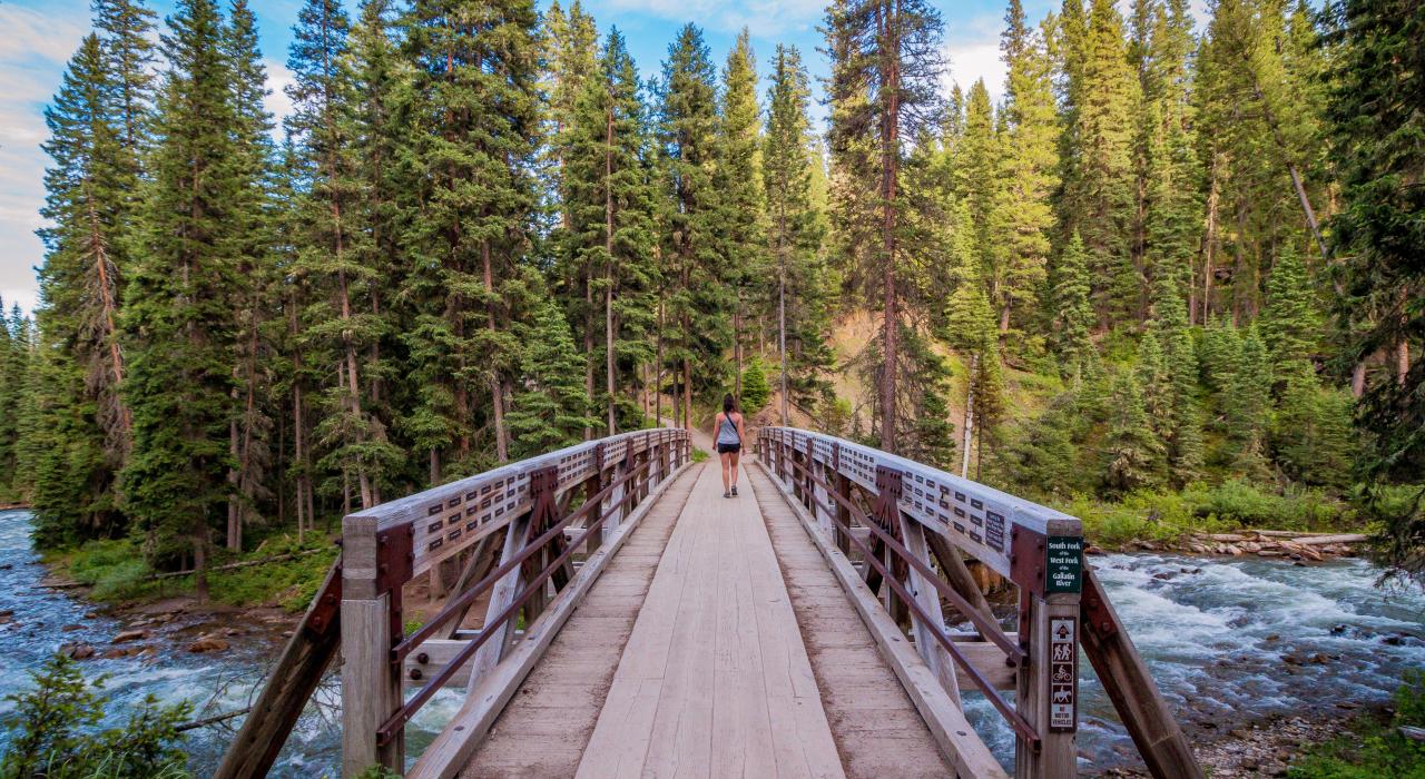 在卡斯特加拉廷国家森林的 Ousel 瀑布公园徒步小径 在卡斯特加拉廷国家森林的 Ousel 瀑布公园徒步小径