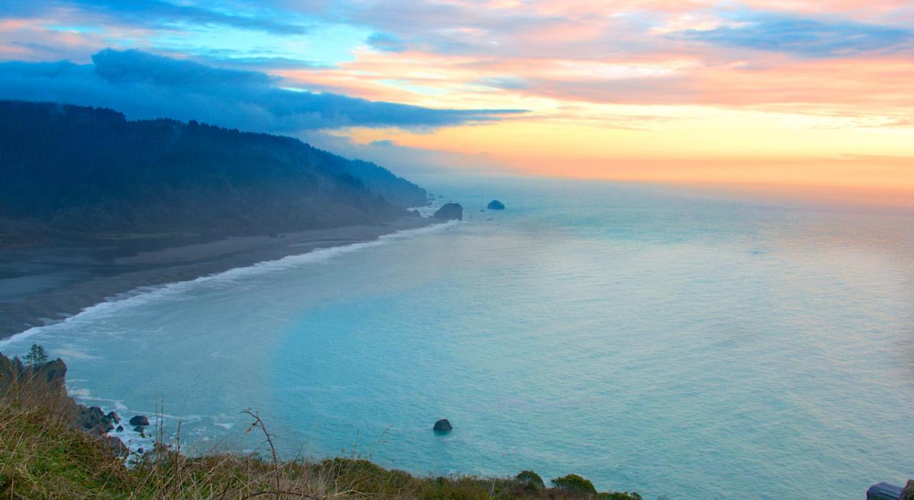 Van Damme州立公园，加州