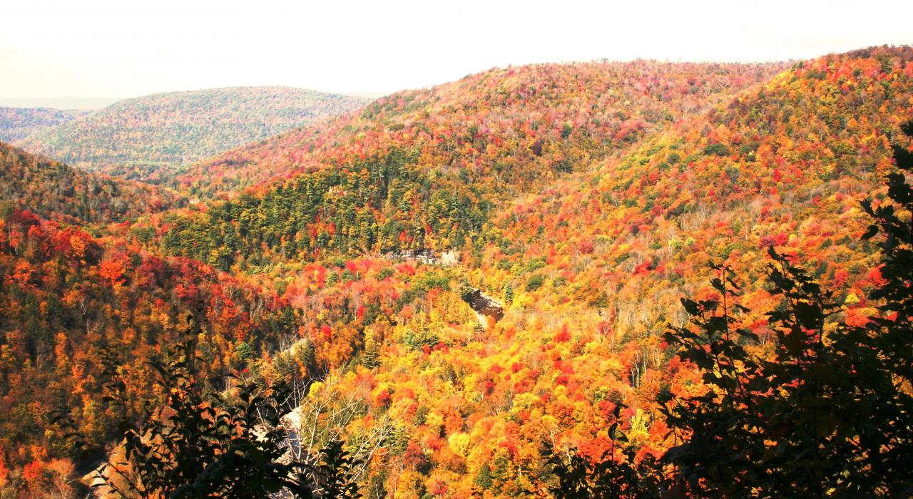 秋叶渲染的宾夕法尼亚州恩德莱斯山