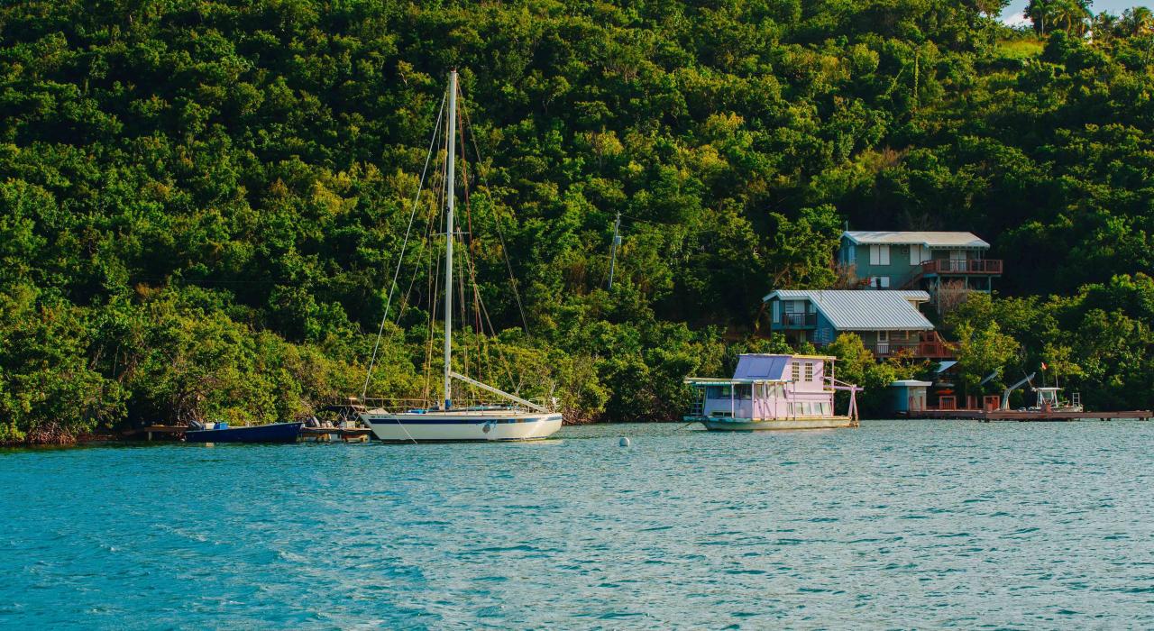 停靠在库莱布拉岛茂密森林旁的船只
