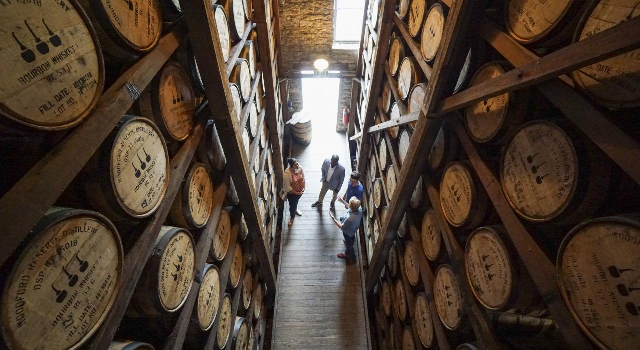 在凡尔赛 Woodford Reserve 酒厂导游带领下了解波旁威士忌的酿造过程