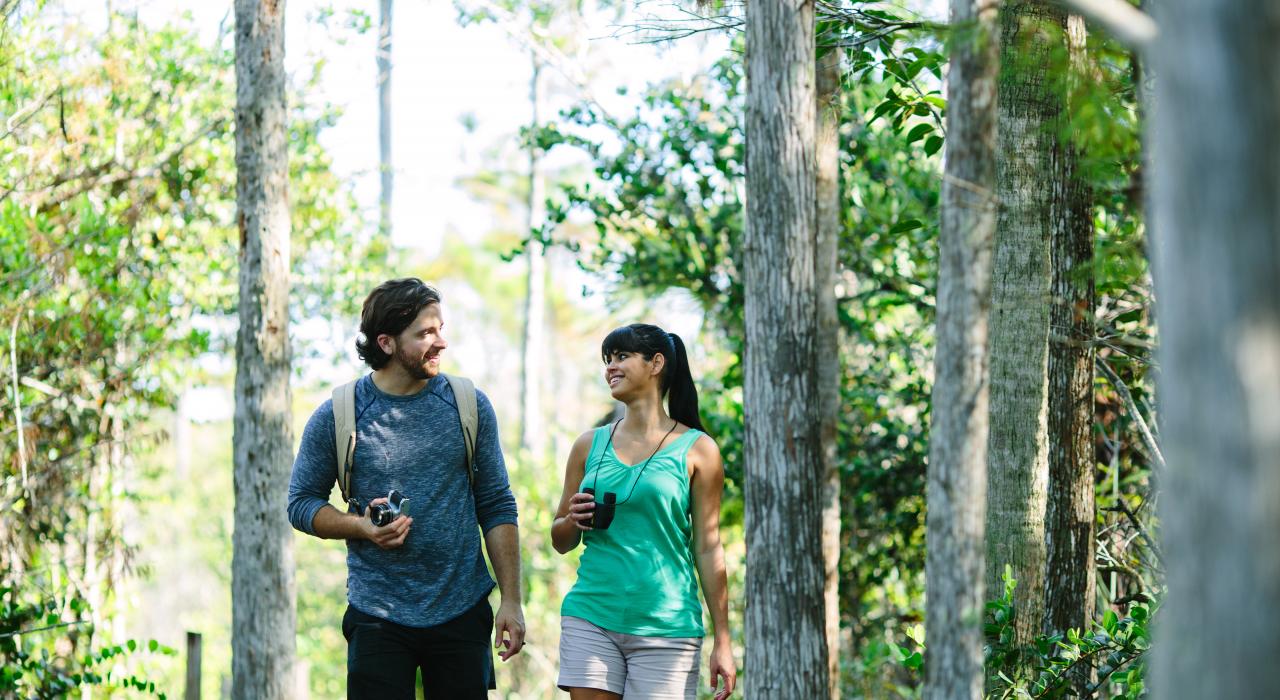 在 Grassy Waters Preserve 自然保护区徒步探寻自然奇迹