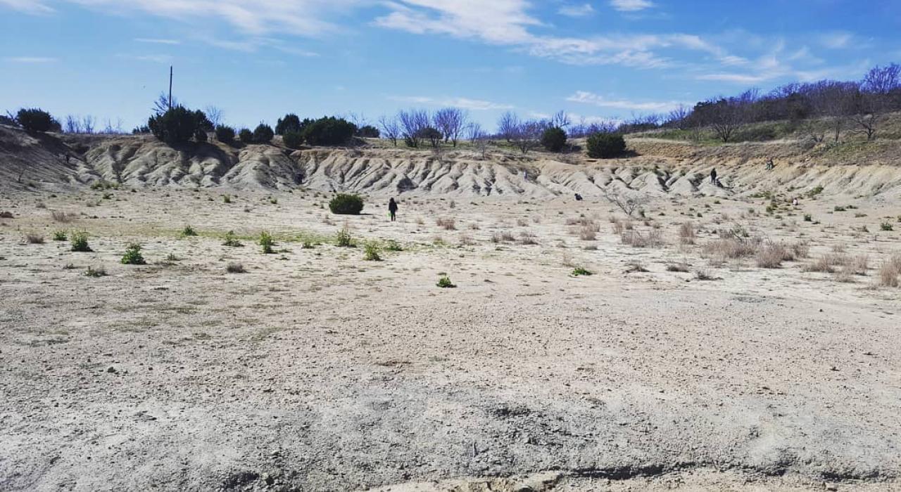 矿泉井城化石公园