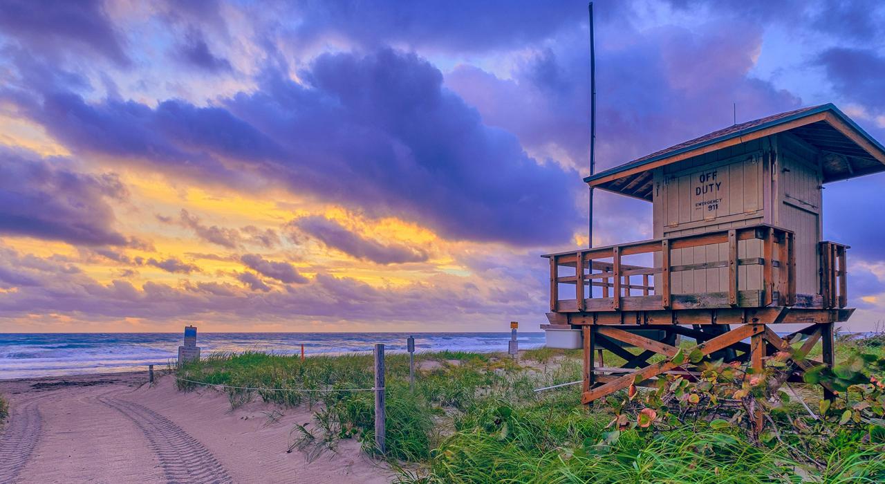 通往大西洋海岸的柔软沙路