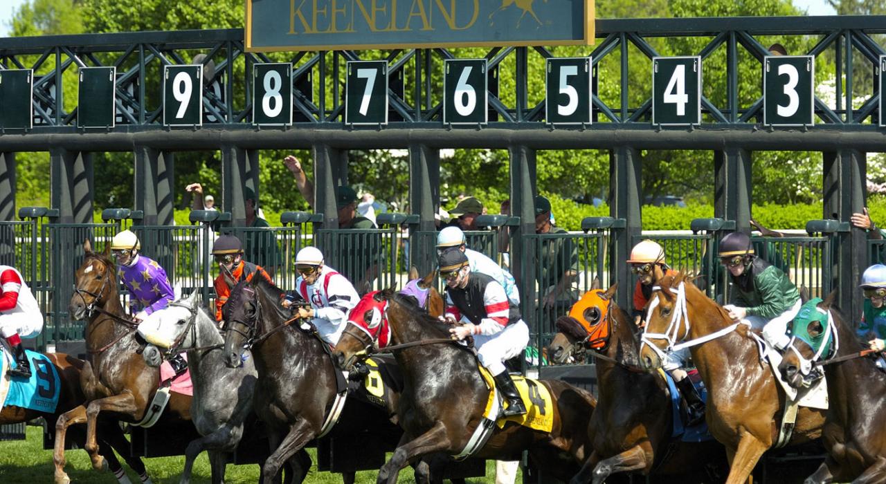 肯塔基州列克星敦市基恩兰赛马场的赛马起点