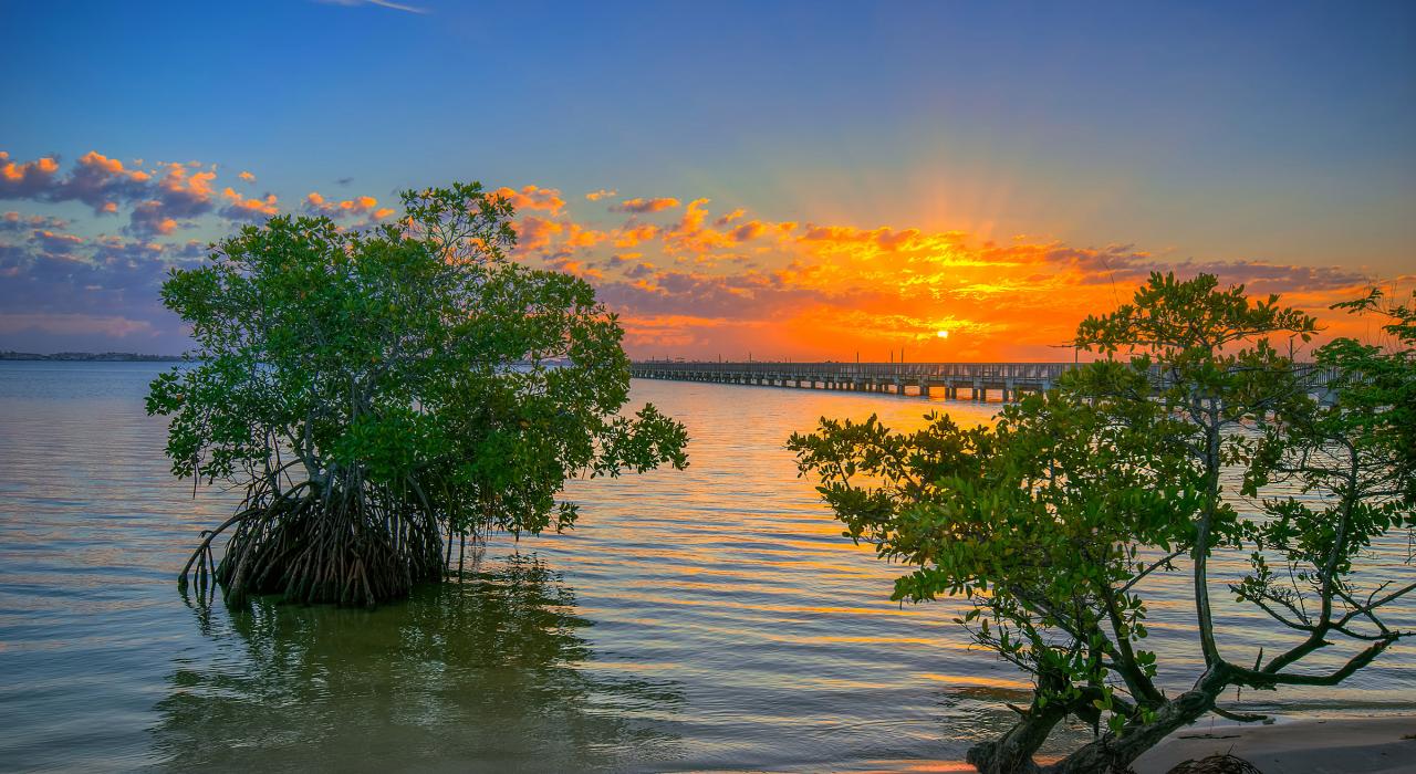 在詹森比奇印第安河滨公园内的码头欣赏日出美景