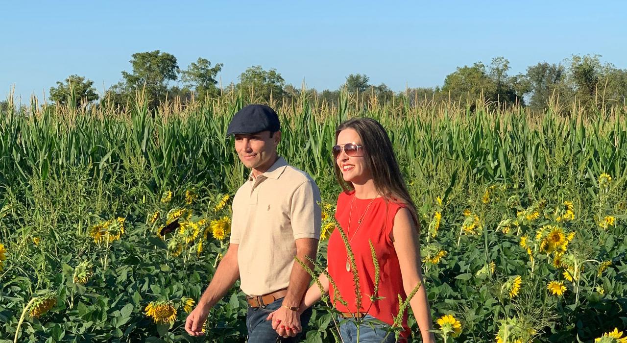 穿过 Reid's 果园的向日葵田，来一次浪漫的漫步