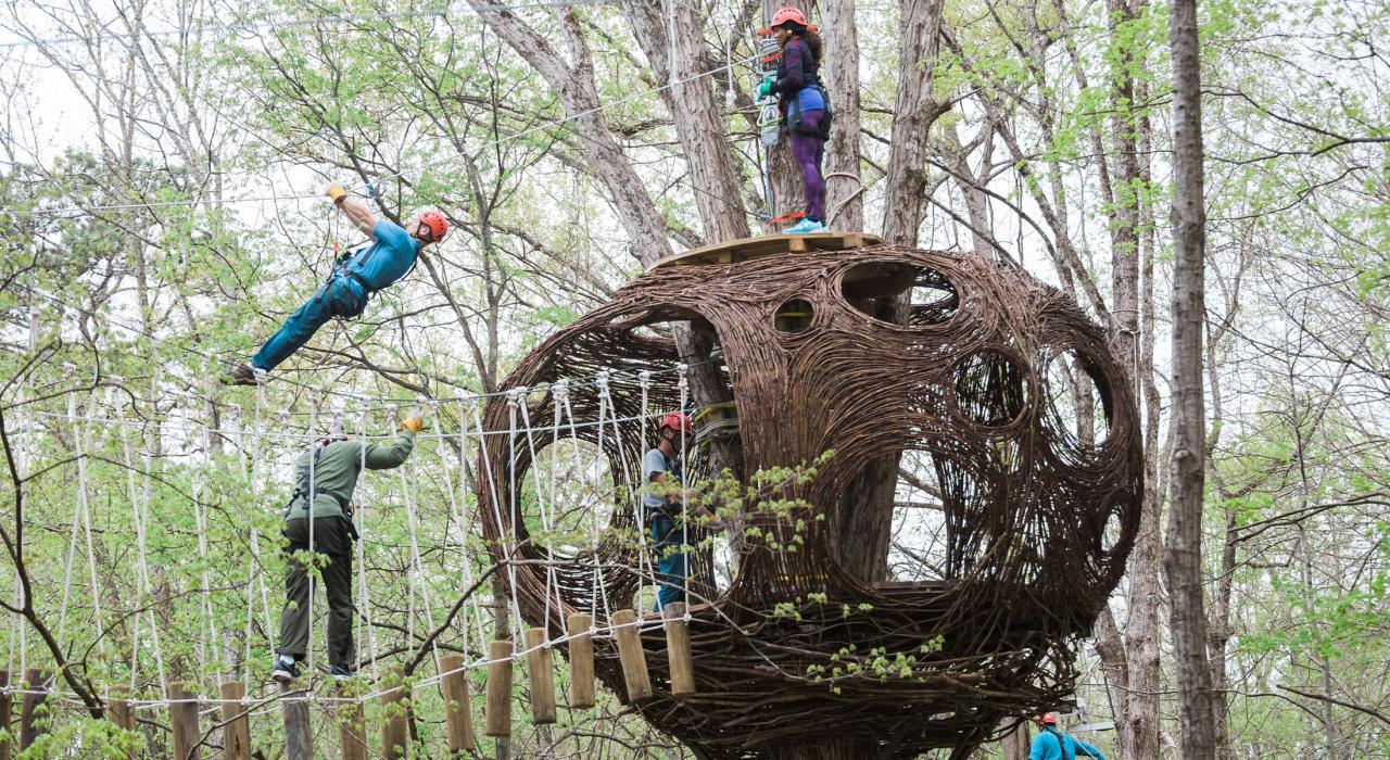 在 Navitat 的丛林之间体验空中冒险项目