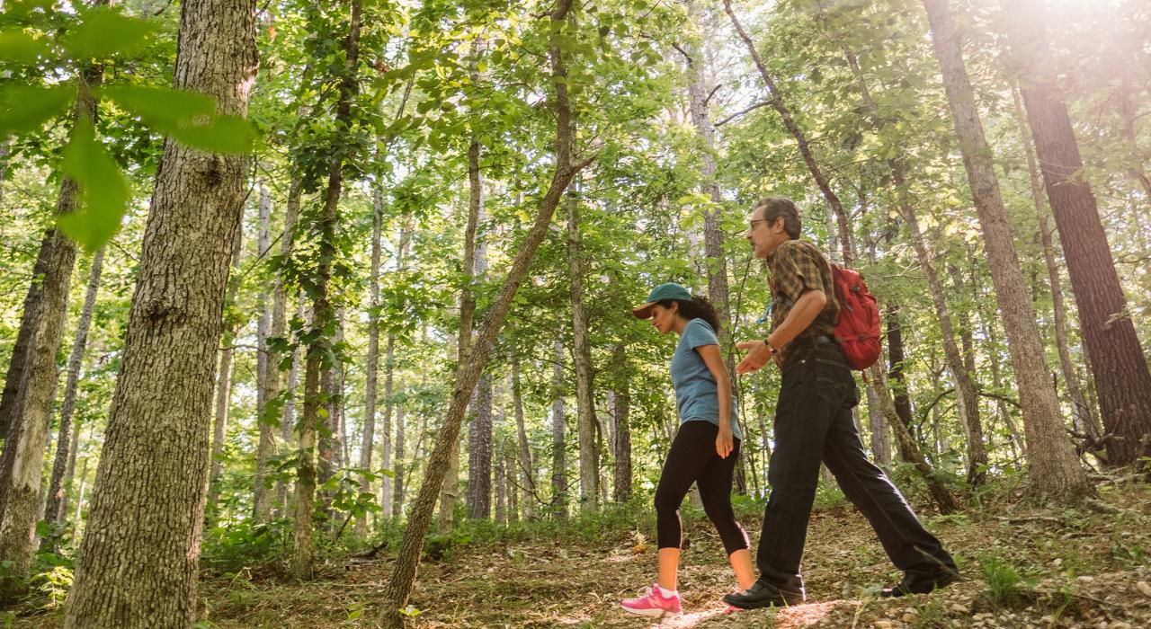 在霍布斯州立公园保护区 (Hobbs State Park-Conservation Area) 的林间小道上远足
