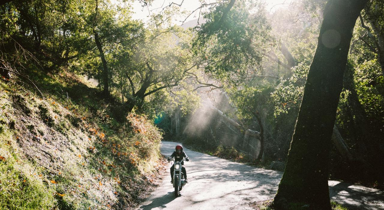 沿着蜿蜒林荫小路的摩托车骑行