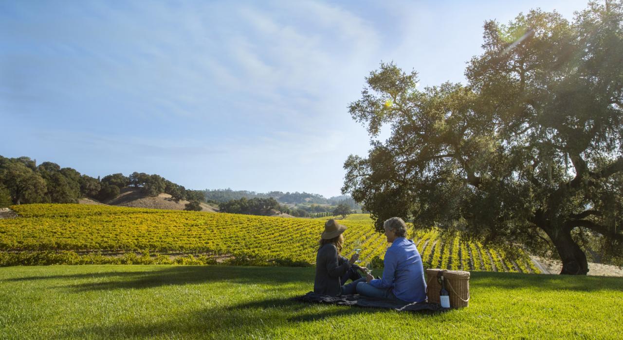 一对情侣在加利福尼亚州索诺马县 Robert Young Scion House 边享用野餐，边欣赏葡萄园美景
