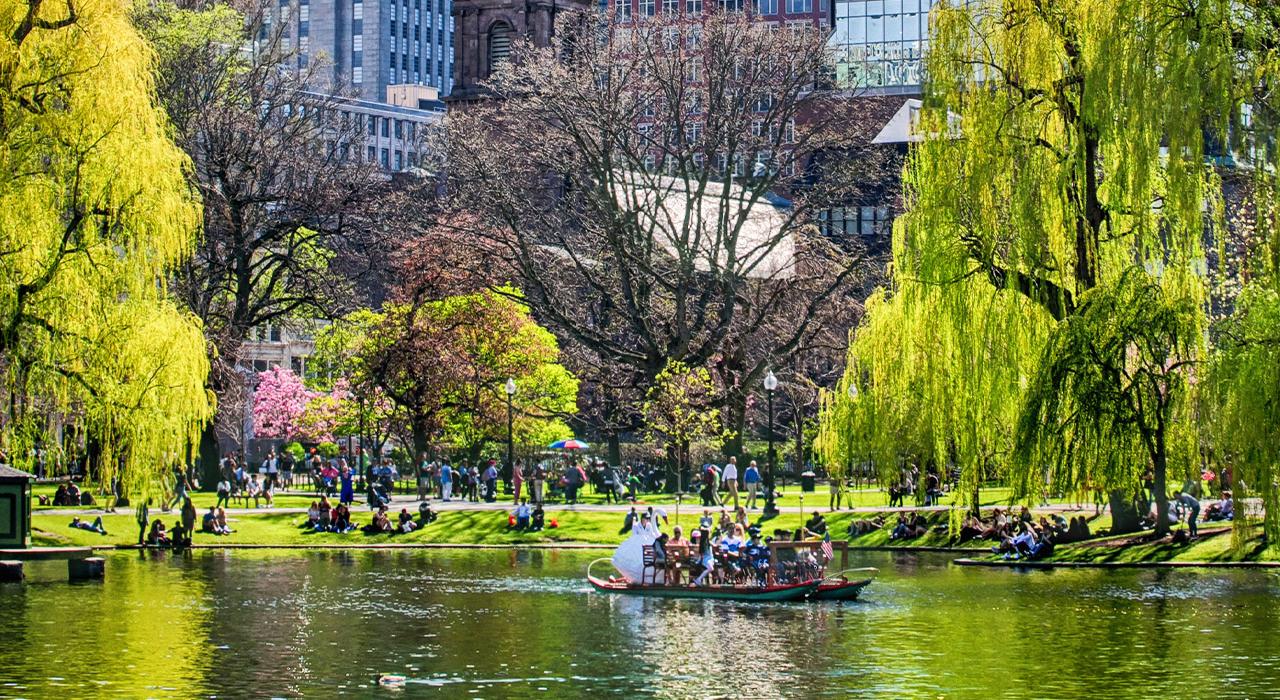 马萨诸塞州波士顿公共花园内的一艘天鹅游船