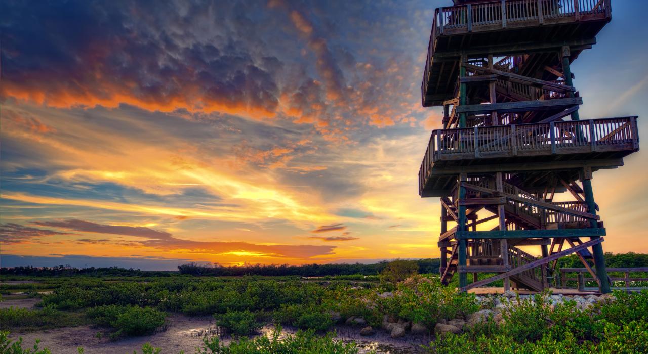 风景优美的鲁滨逊保护区内的观景塔