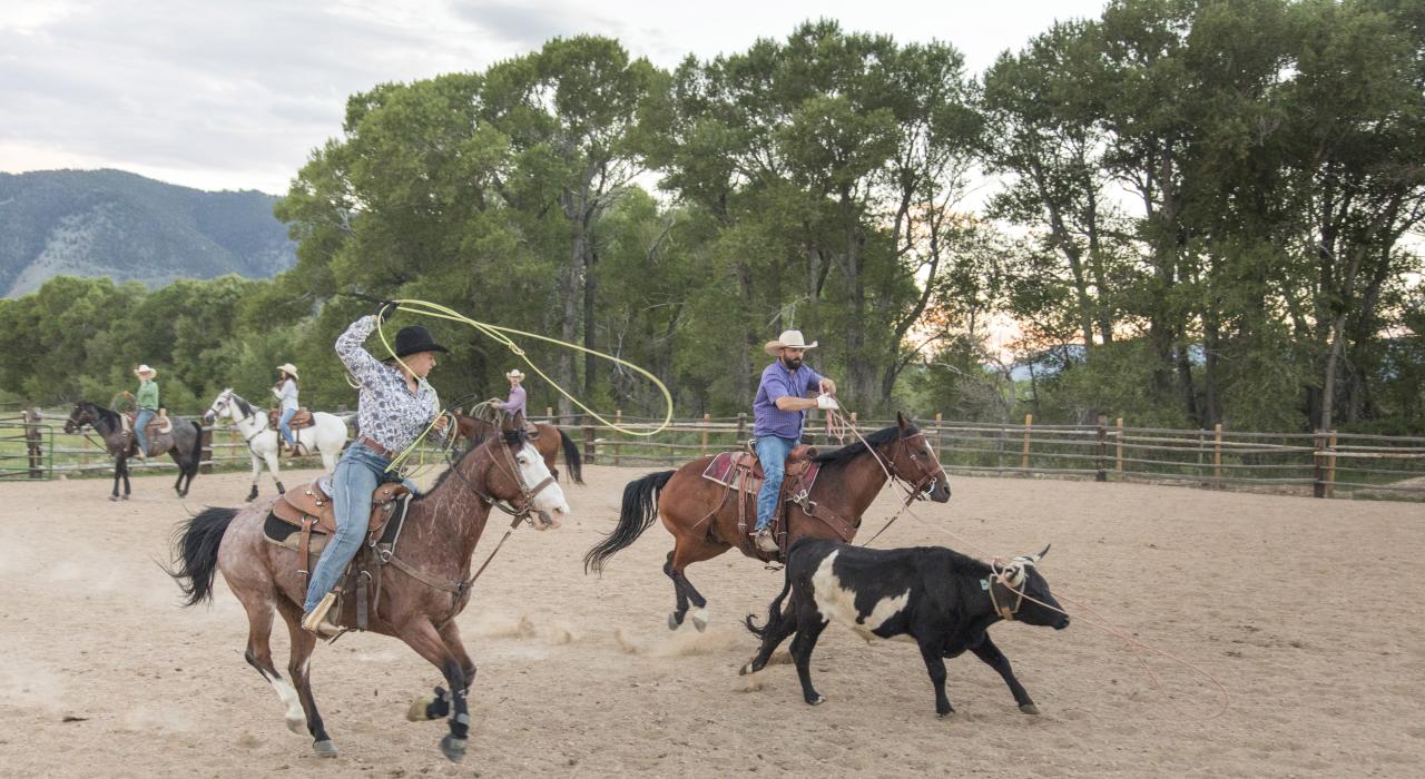 Vee Bar Guest Ranch 牧场地道正宗的套牛体验