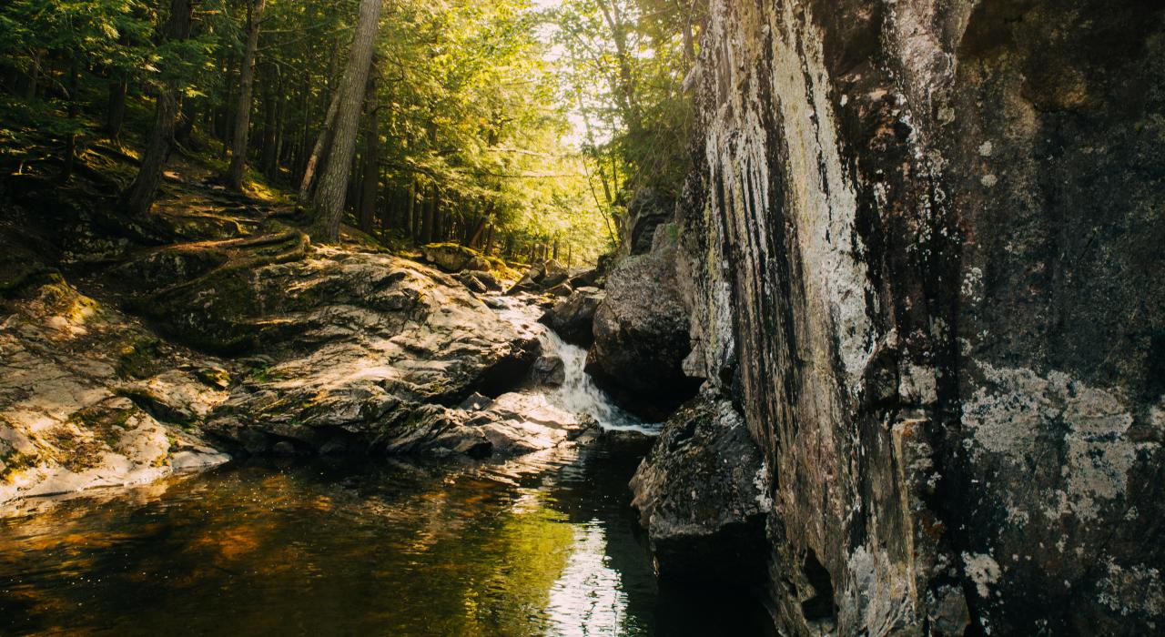 郁郁葱葱的夏日落叶为小蒜瀑布披上锦衣