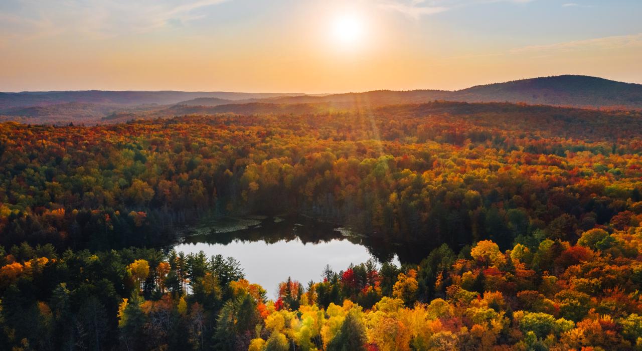 秋季缤纷落叶为哈洛湖披上盛装