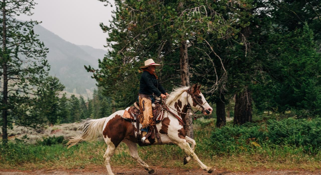在该地区众多的度假宾客牧场之一骑马游览