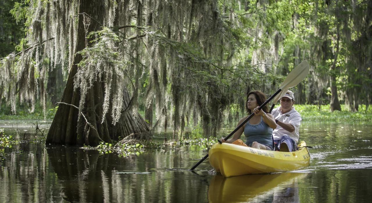 在路易斯安那州布罗布里奇划皮划艇游览马丁湖