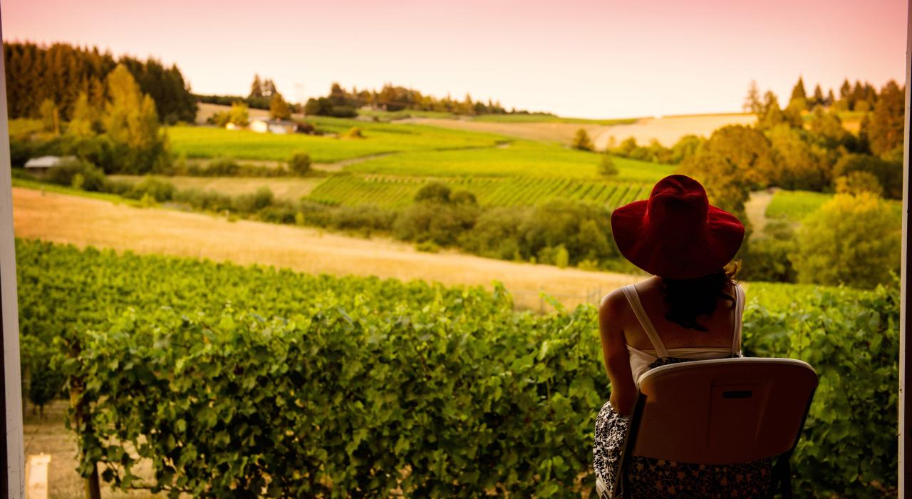 在俄勒冈州代顿市 Sokol Blosser Winery 酒庄饱览葡萄园美景