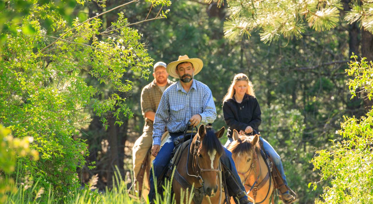 在蒙大拿州骑马，尽情呼吸清新空气