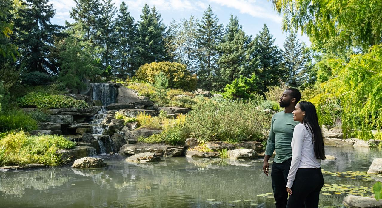 探索大急流城的弗雷德里克•梅耶尔花园及雕塑公园