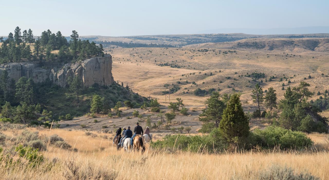 在导游陪同下骑马领略蒙大拿州比林斯周边美景