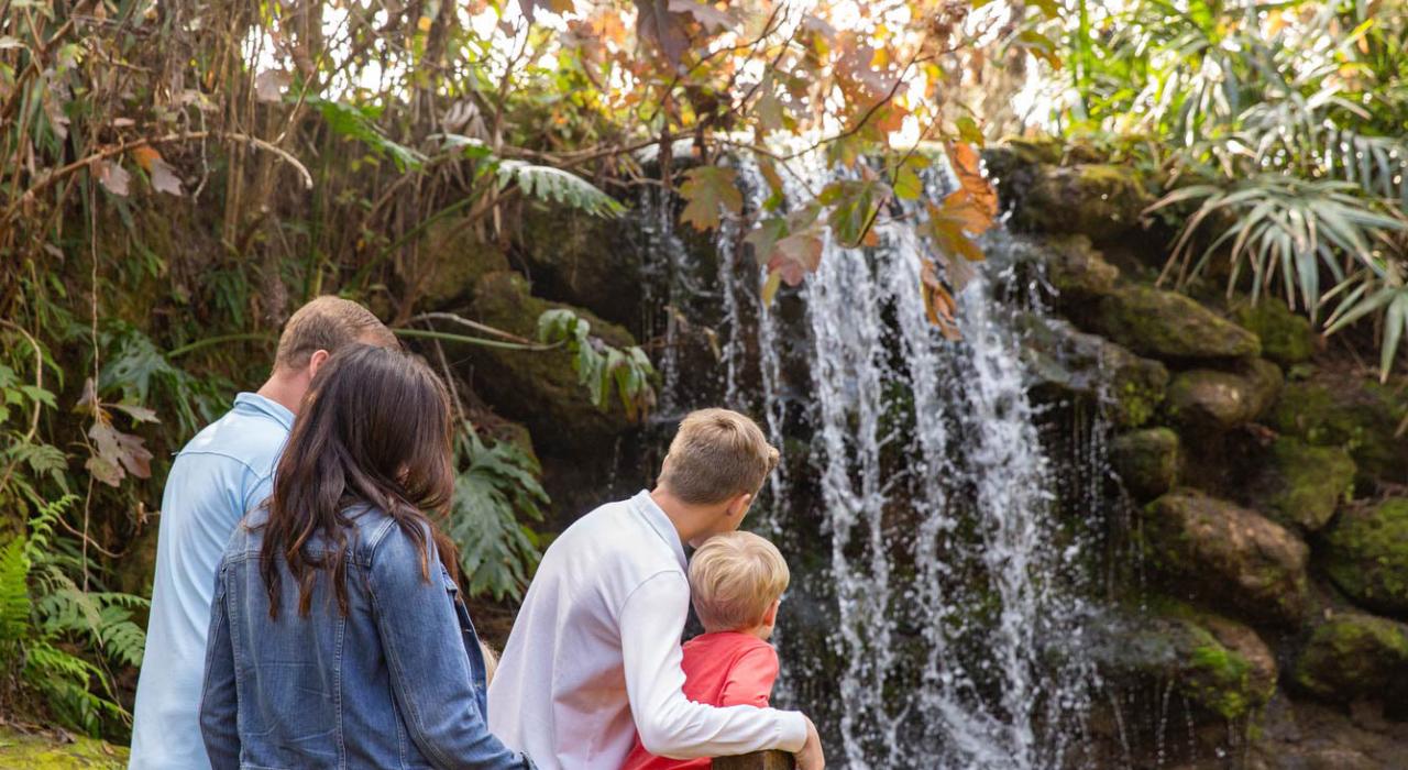 欣赏彩虹泉州立公园的瀑布