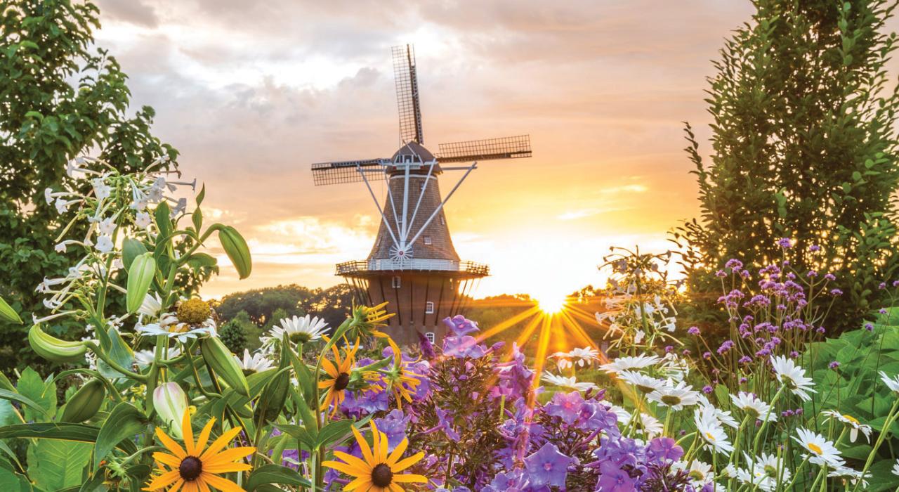 荷兰风车岛花园的多彩景色
