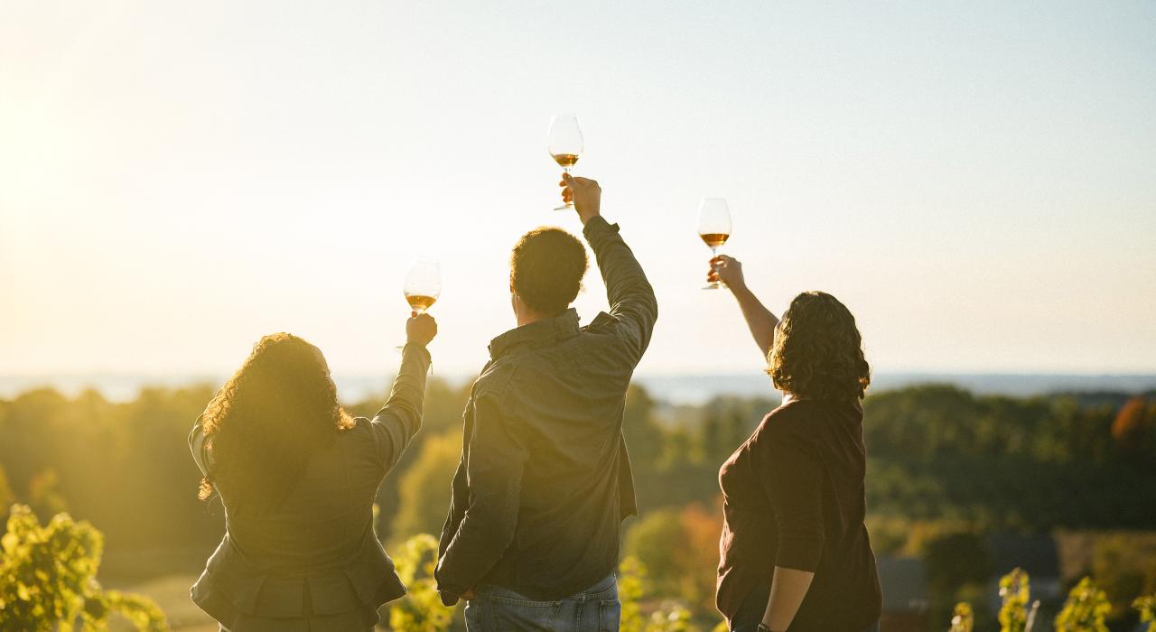 享受密西根州风味美食和特拉弗斯葡萄酒海岸全景