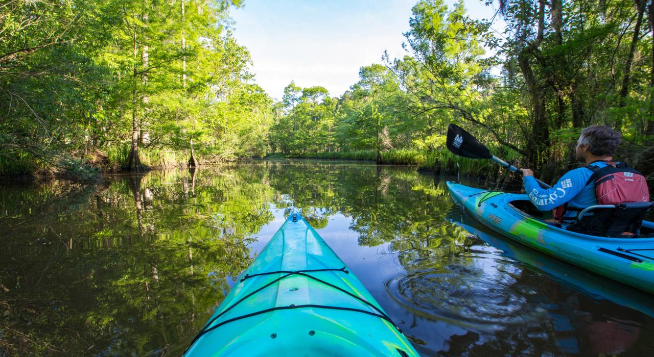 在风景秀丽的 Cane Bayou 河流中划皮划艇