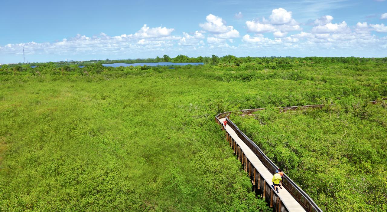 探索威登岛的木板步道