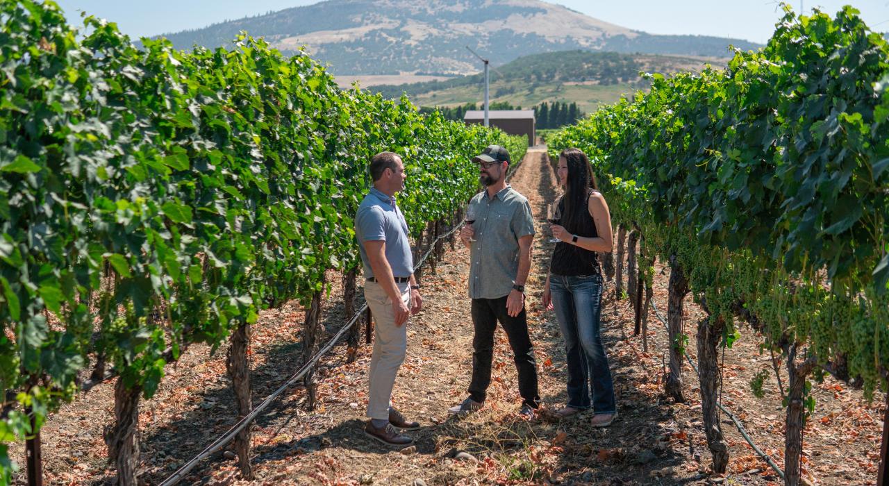 在俄勒冈州梅德福 Padigan Wines 酒庄参观葡萄园