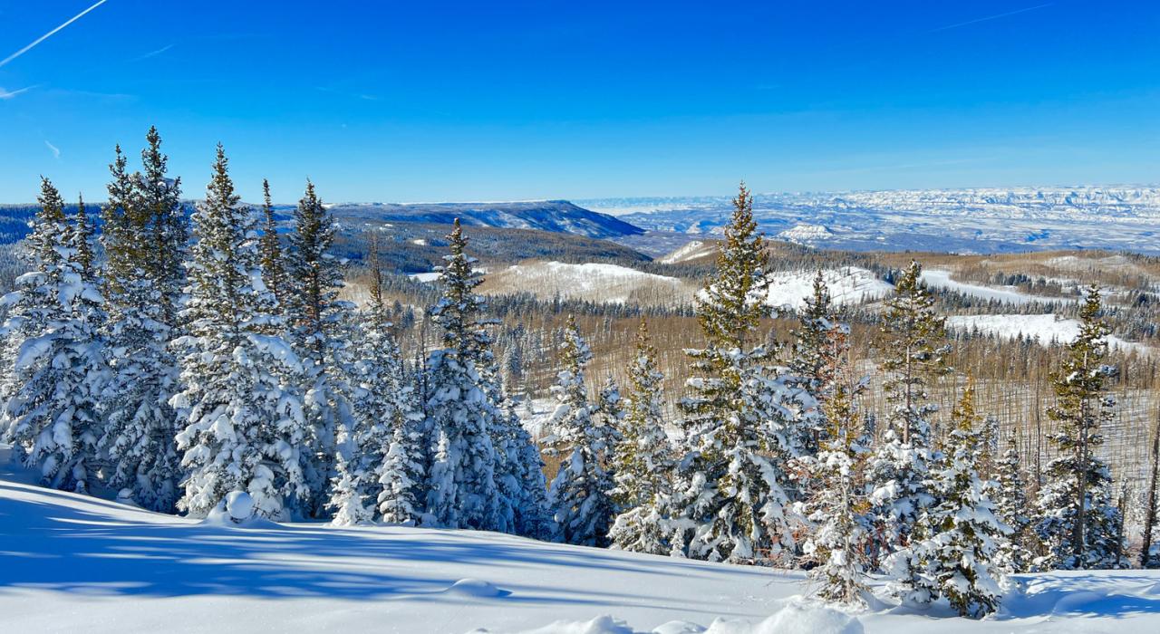大平顶山国家森林冬季盛景 大平顶山国家森林冬季盛景