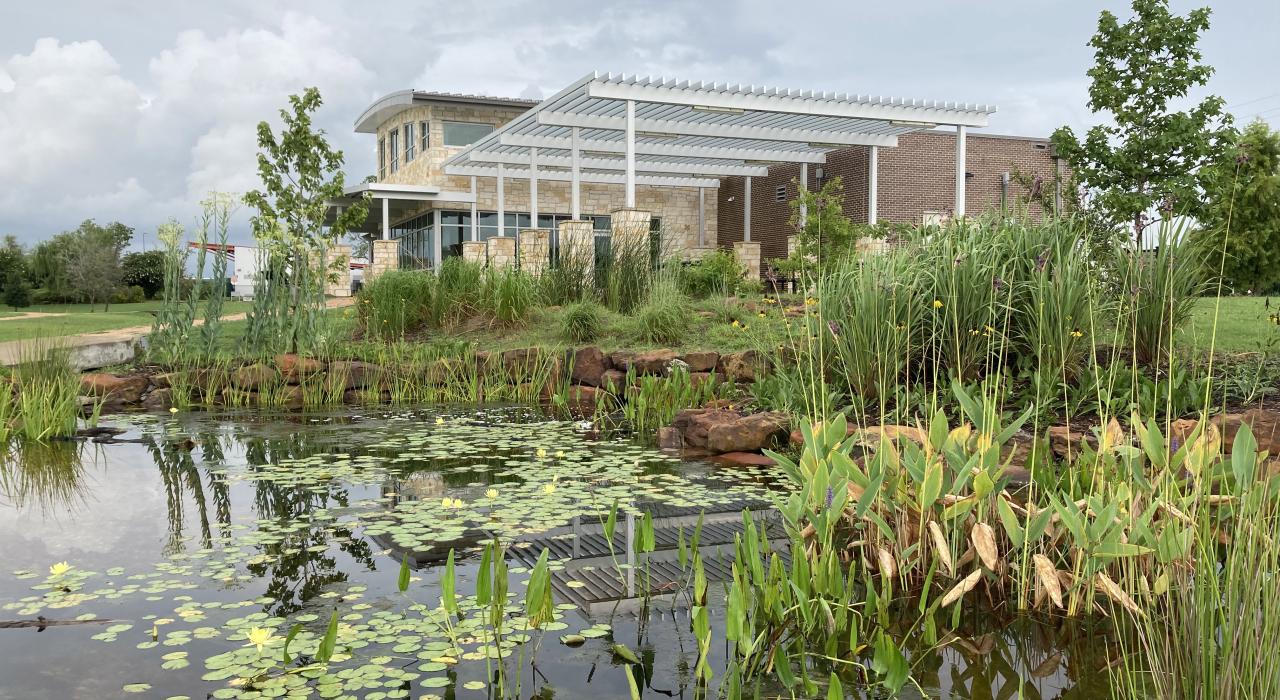 德克萨斯州皮尔兰 Delores Fenwick Nature Center 自然保护区外的沼泽景观