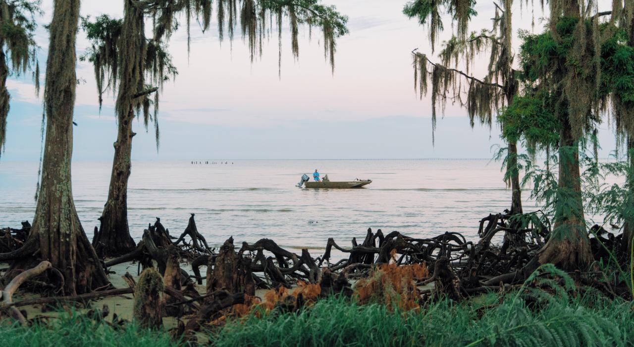 在路易斯安那州曼德维尔附近的枫丹白露州立公园泛舟