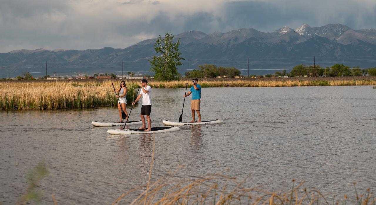 在 Blanca Vista Park 公园玩站立桨板冲浪