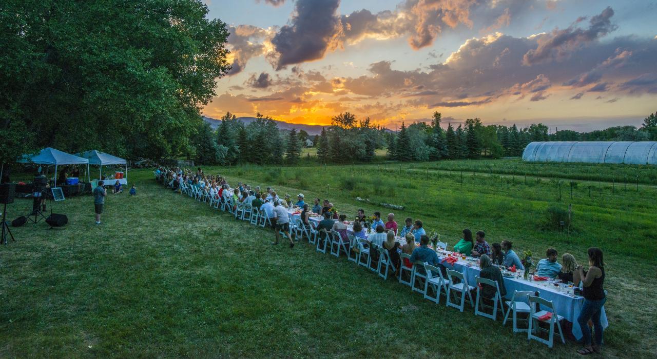 科罗拉多州柯林斯堡的黄昏农场美食活动