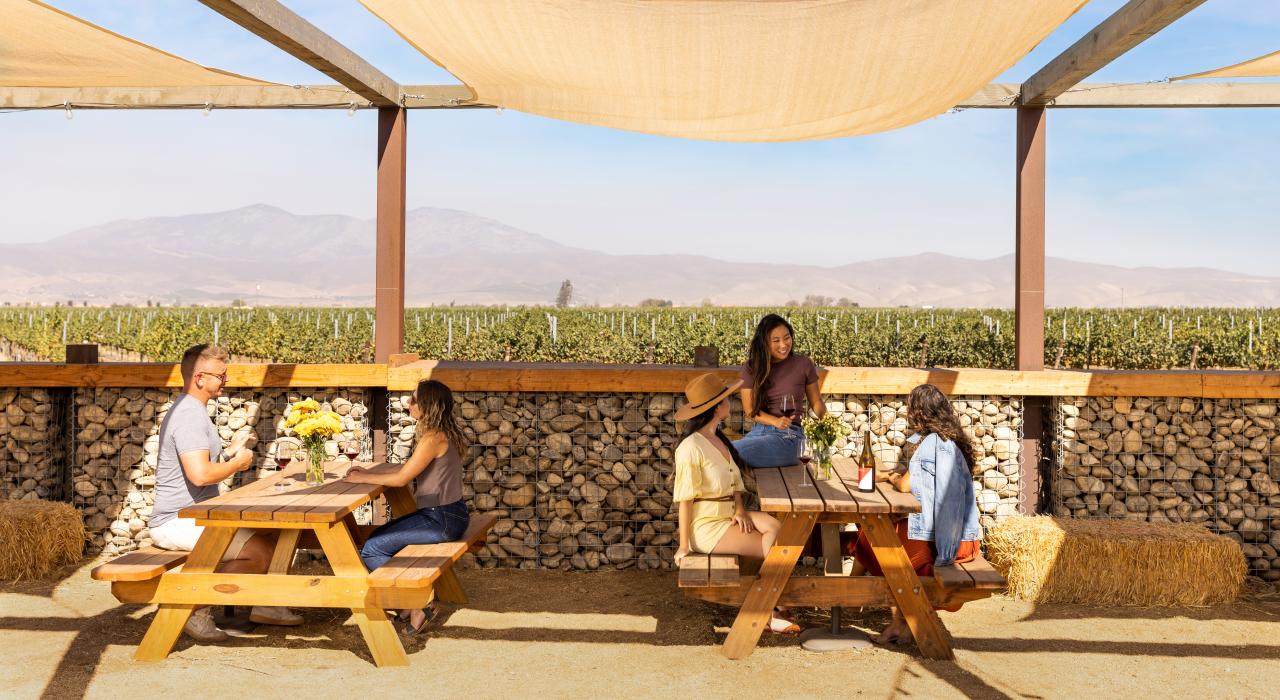 在加利福尼亚州蒙特雷县的萨利纳斯谷品享美酒