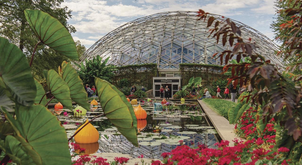 在密苏里州植物园 (Missouri Botanical Garden),缤纷枝叶与 Climatron 温室相映成趣 在密苏里州植物园 (Missouri Botanical Garden),缤纷枝叶与 Climatron 温室相映成趣