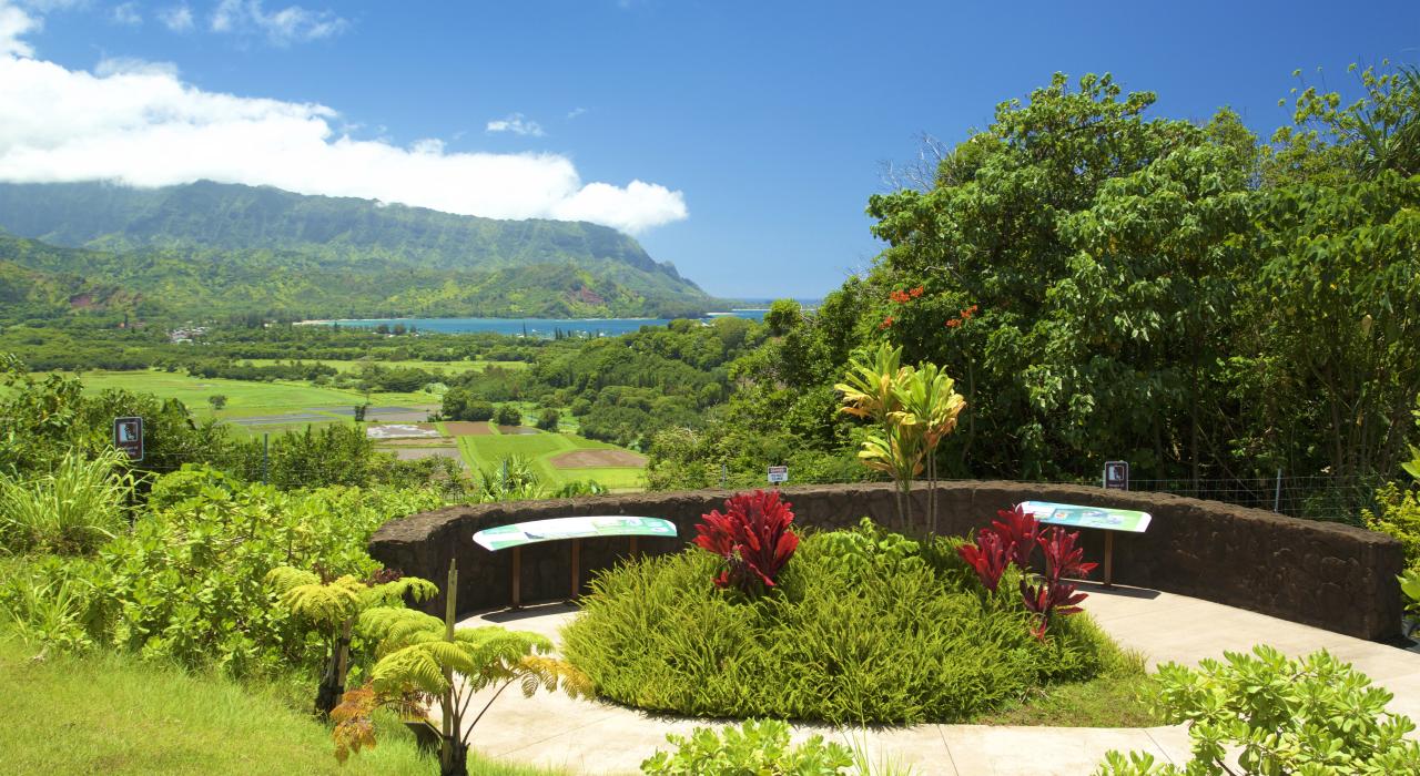 哈纳雷国家野生动物保护区 (Hanalei National Wildlife Refuge) 的美丽观景点