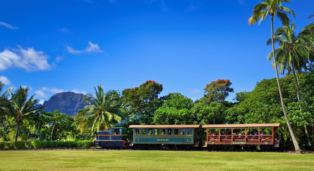 在奇亚胡纳种植园 (Kilohana Plantation) 乘坐可爱岛种植园铁路 (Kauaʻi Plantation Railway)