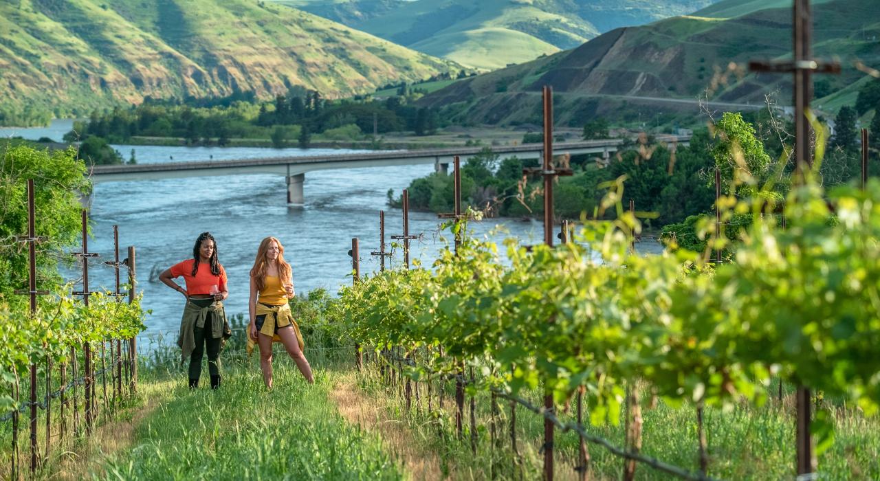 在 Rivaura Estate Vineyard 葡萄园和酒庄品尝葡萄酒