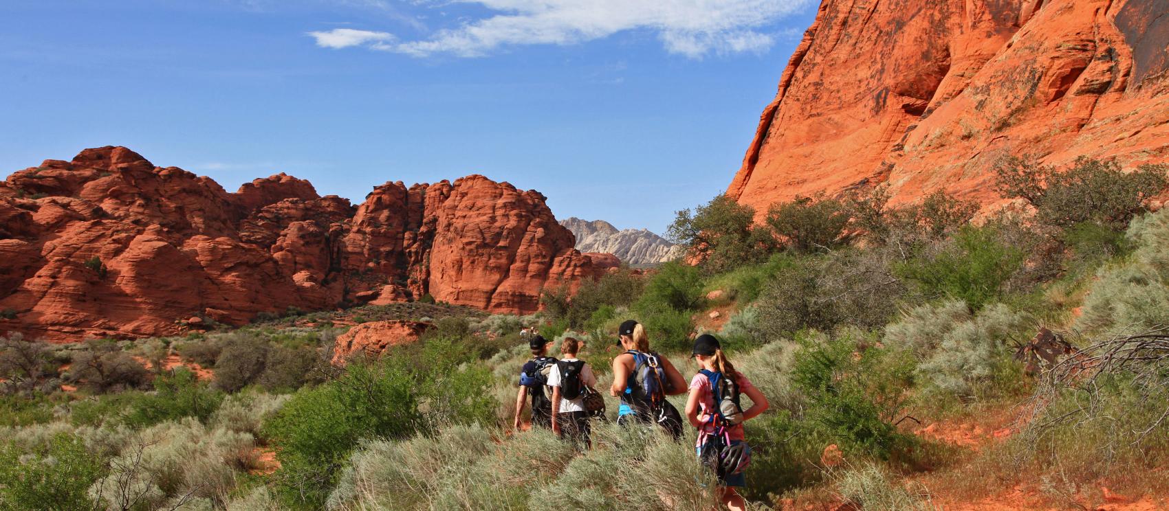 沿雪谷州立公园 Pioneer Names Trail 小径徒步远足