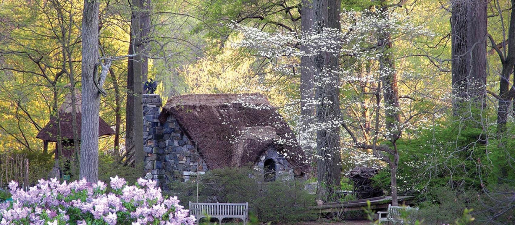 隐匿于美丽森林中的温特图尔博物馆、花园和图书馆