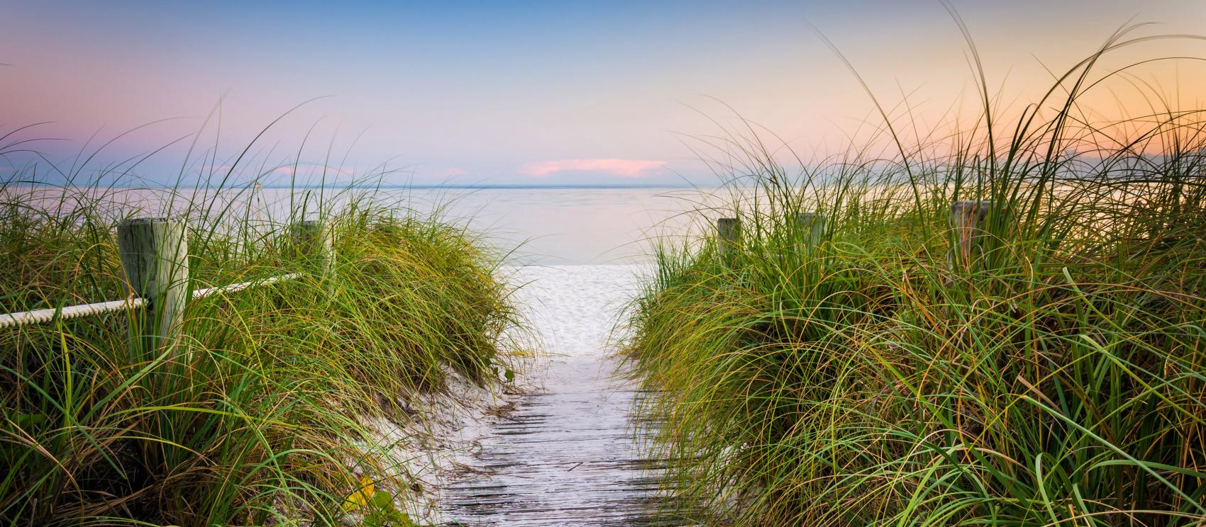 一条延伸至大西洋海岸偏僻海滩的小路