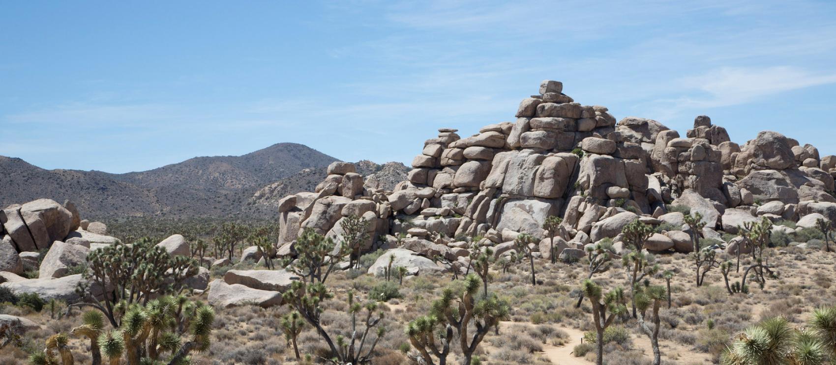 约书亚树国家公园的堆积岩石非常适合攀爬 约书亚树国家公园的堆积岩石非常适合攀爬